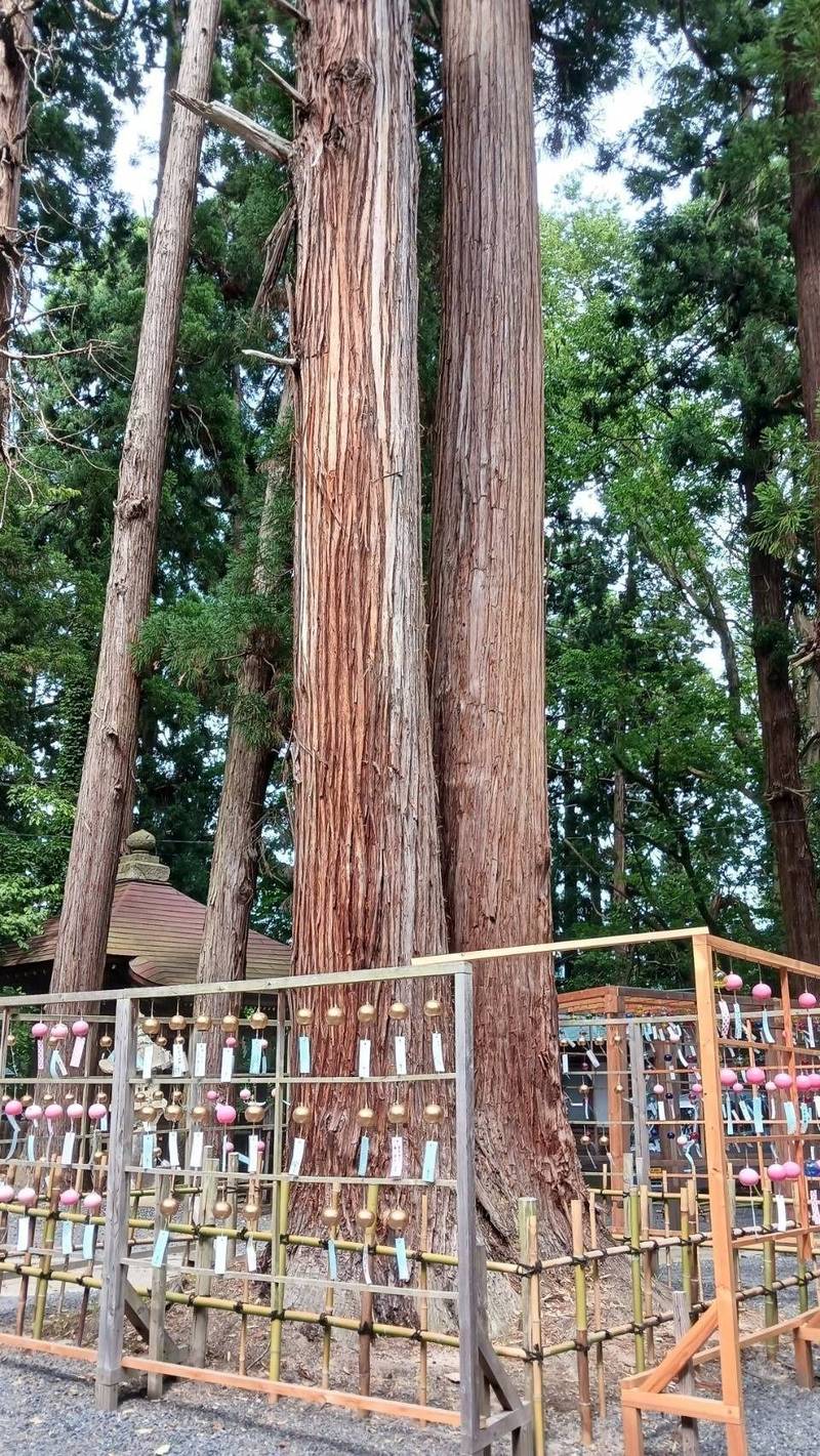 熊野神社   (熊野大社),山形県南陽市宮内3476-1