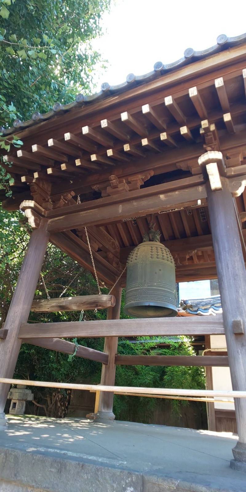 新井山 梅照院     (新井薬師)の御朱印