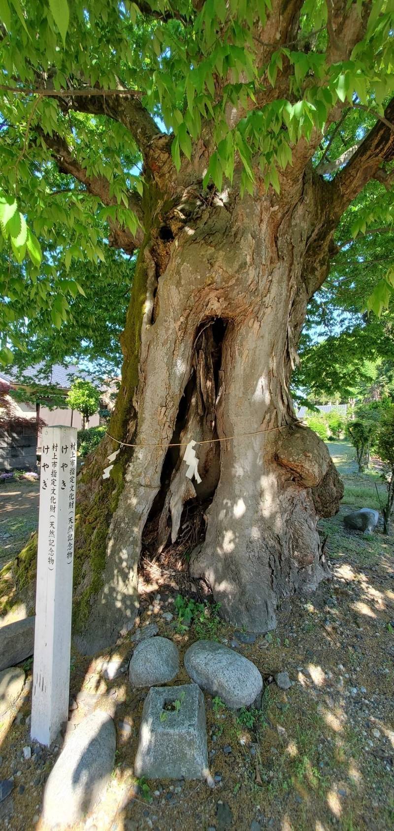 船魂十二所神社,新潟県村上市山辺里767