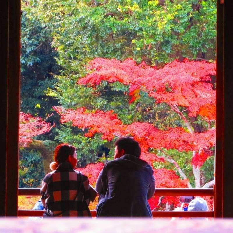 天龍寺,京都府京都市右京区嵯峨天龍寺芒ノ馬場町68
