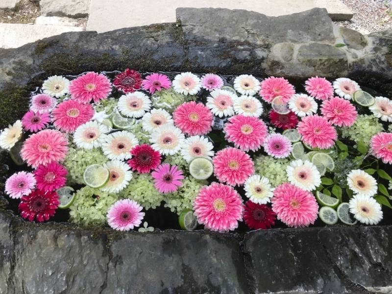柳津虚空蔵尊 宝性院 見どころ 登米市 宮城県 Omairi おまいり 柳津虚空蔵尊 宝性院 見どころ 登米市 宮城県 Omairi おまいり