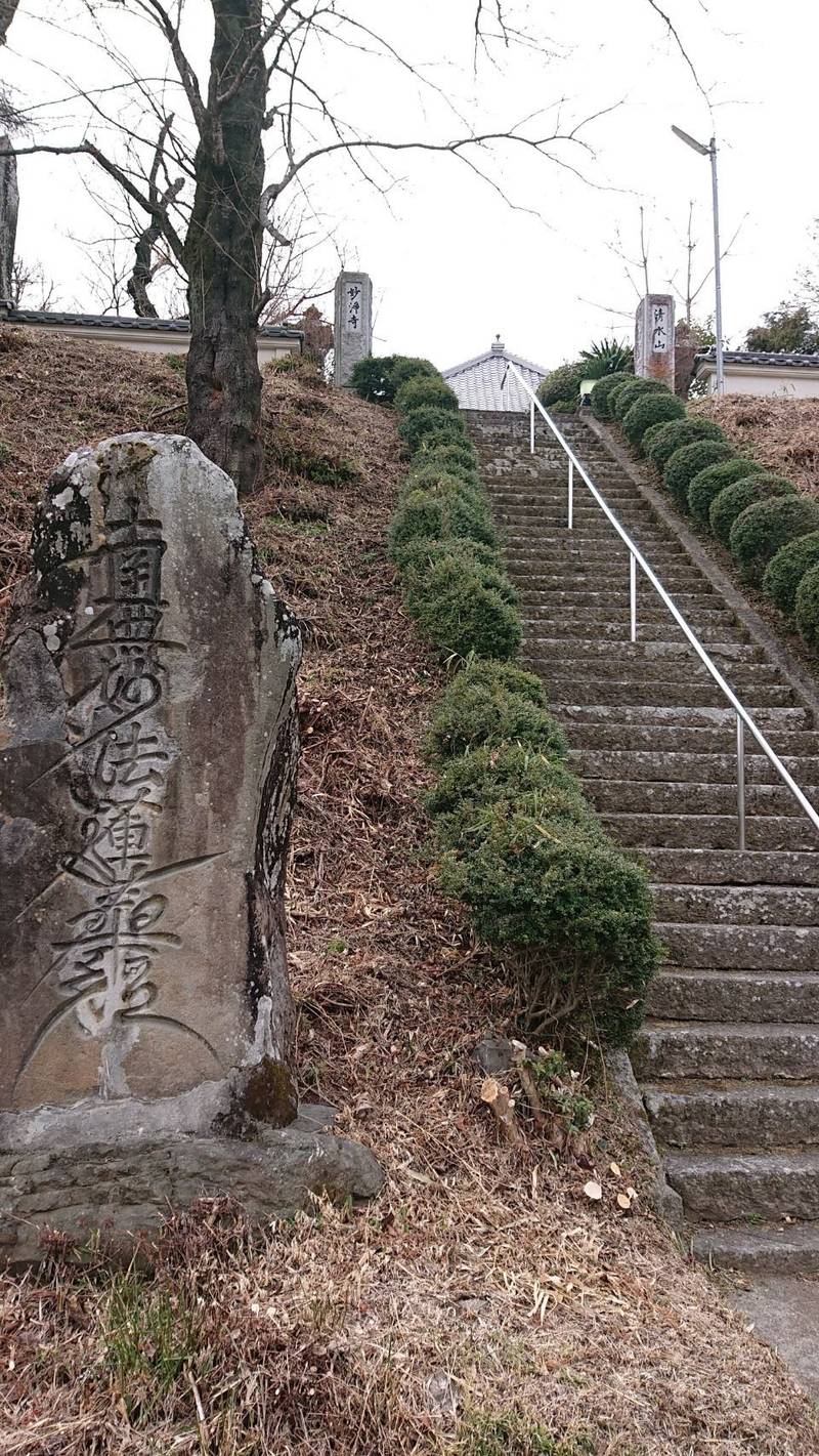 妙浄寺,山梨県韮崎市円野町上円井1186
