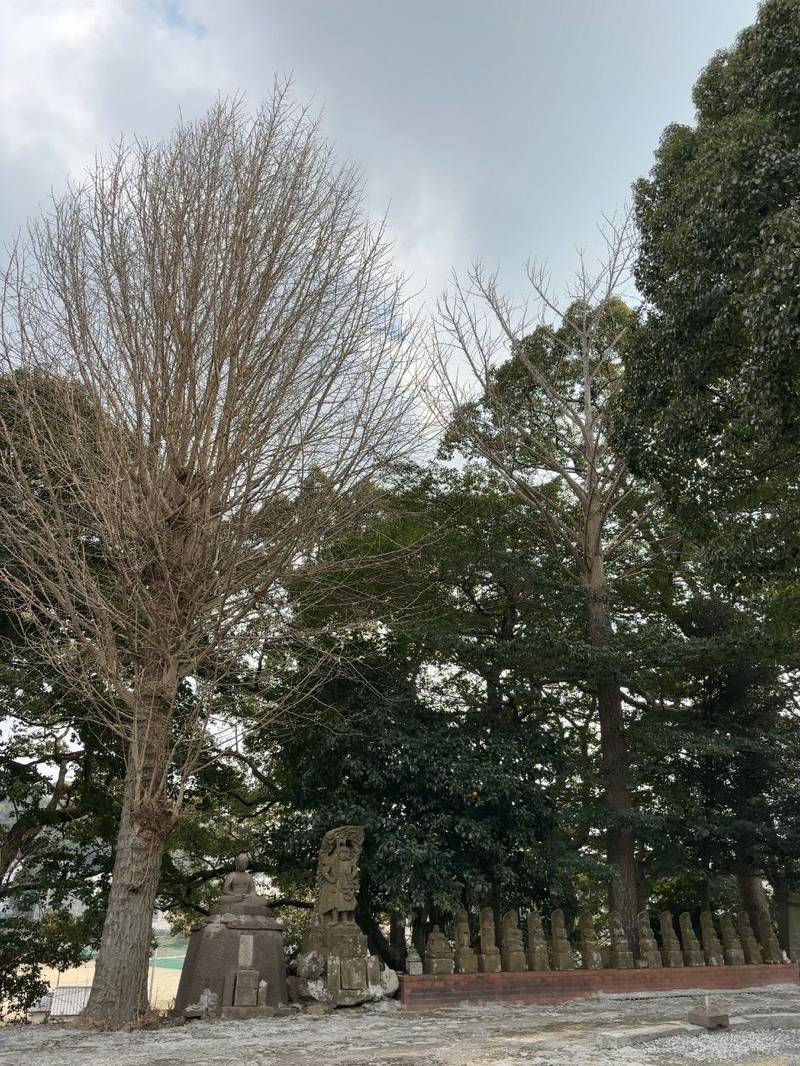 東蓮寺,福岡県直方市上山部631