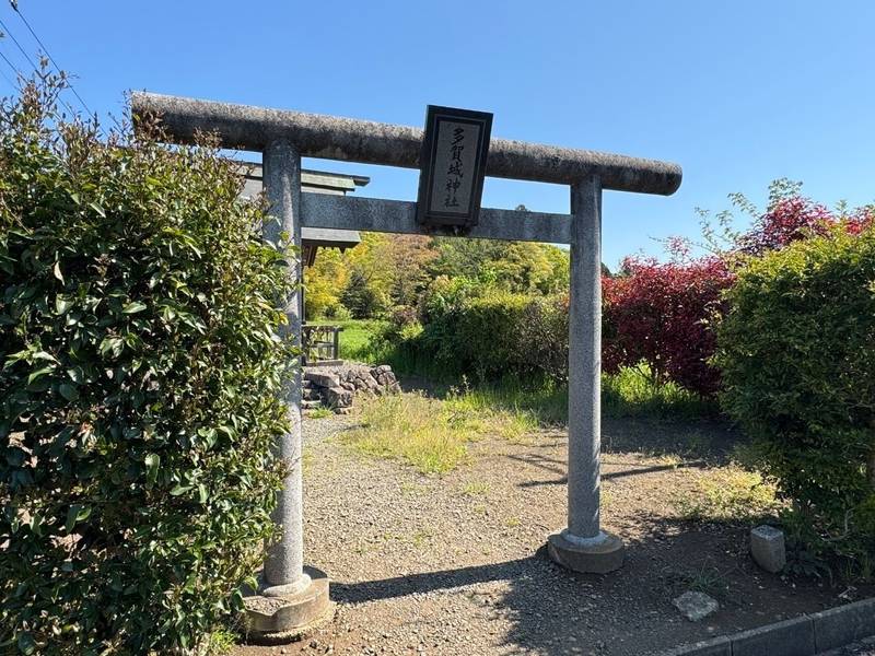 多賀城神社,宮城県多賀城市市川字大畑