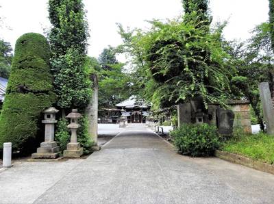 照明寺    (反町薬師)