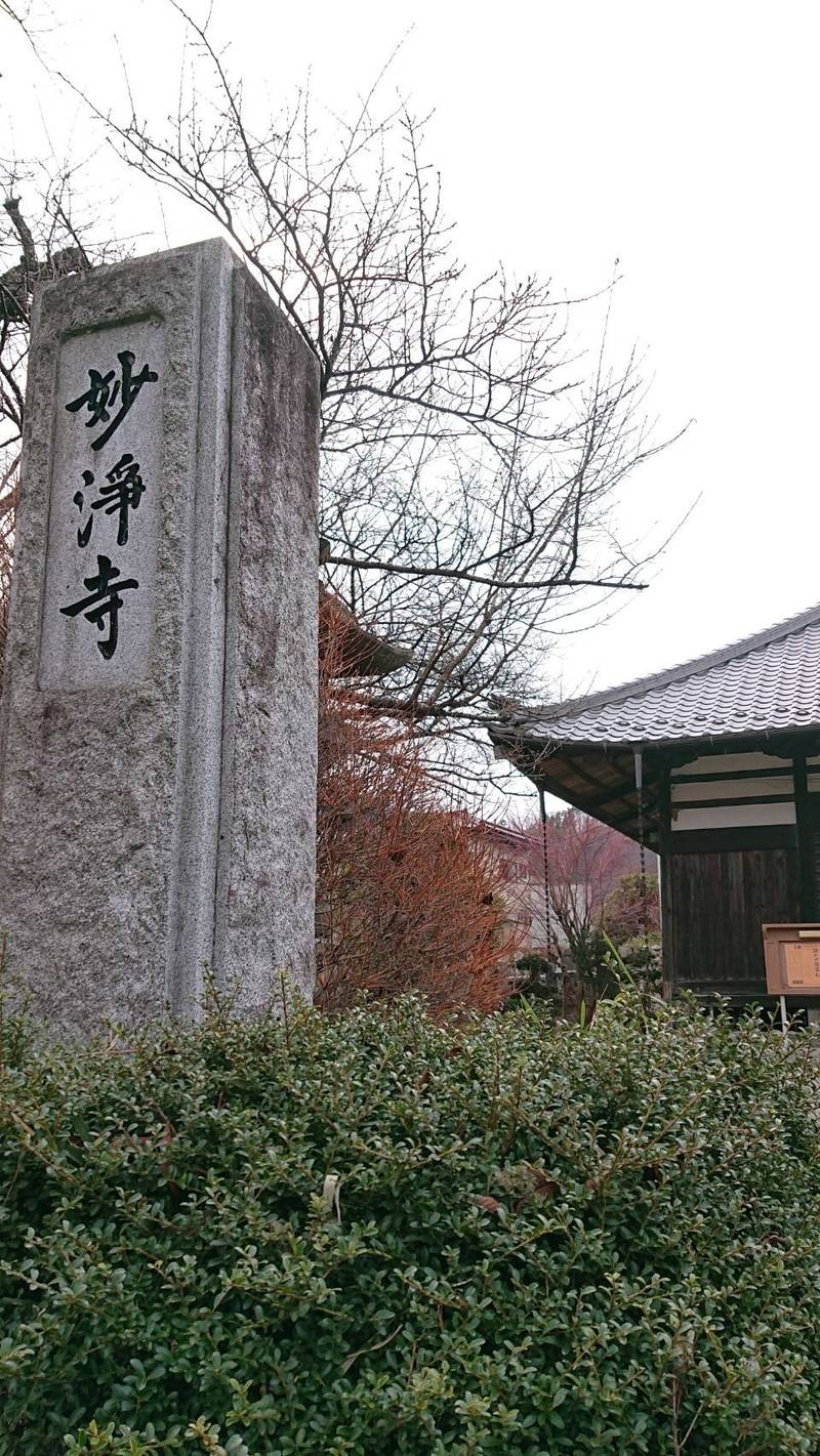 妙浄寺,山梨県韮崎市円野町上円井1186