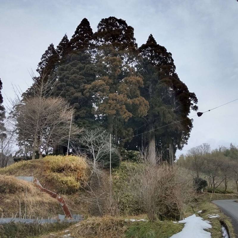 本宮神社,島根県大田市三瓶町上山787