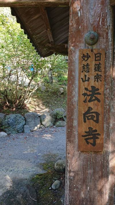 法向寺,見どころ,ながまつ・西源寺Jr.