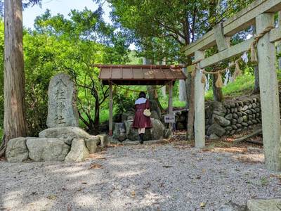 廣瀬八柱神社,見どころ,平沢凛