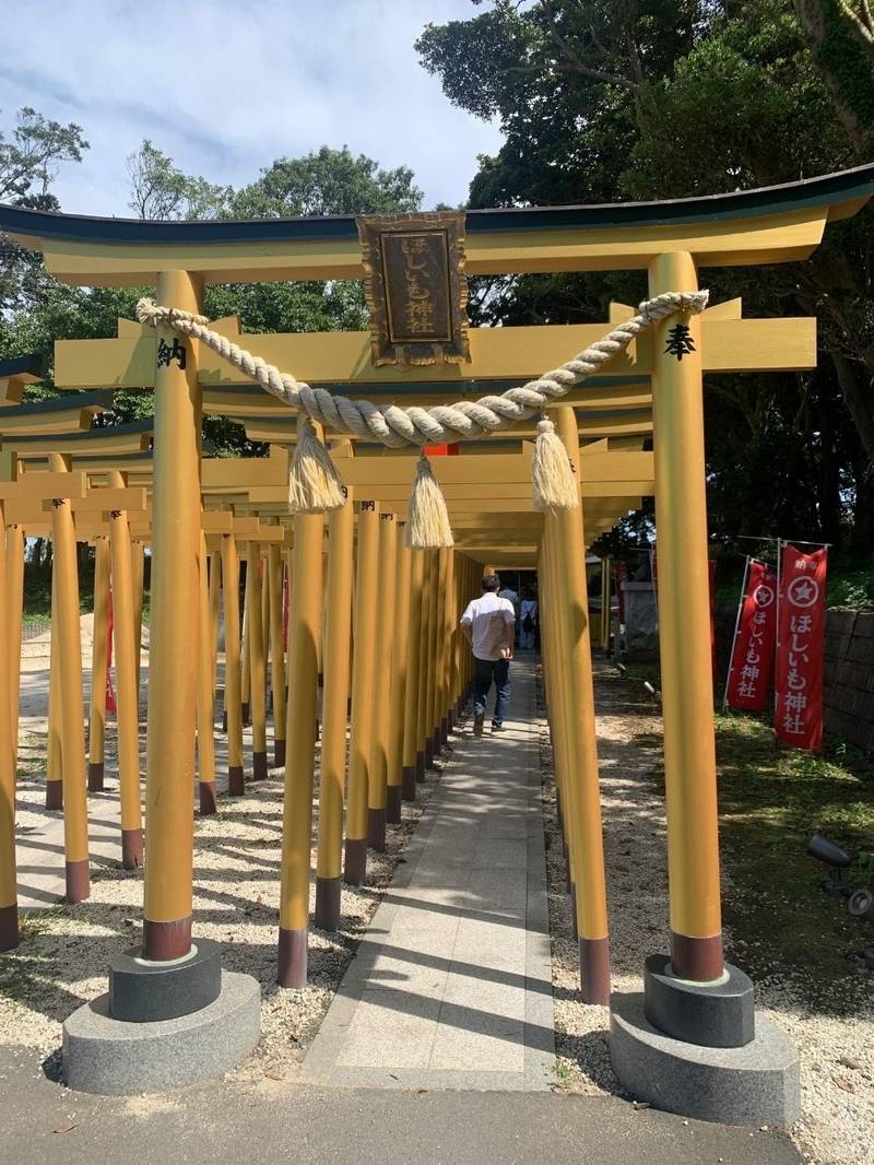 ほしいも神社  (堀出神社境内),茨城県ひたちなか市阿字ケ浦町178番地