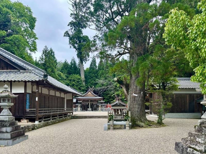 國津神社  (都祁白石町),奈良県奈良市都祁白石町580