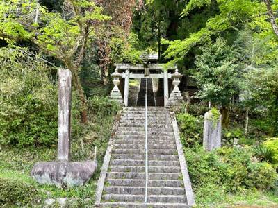 春日神社  (武芸川町谷口),見どころ,を神