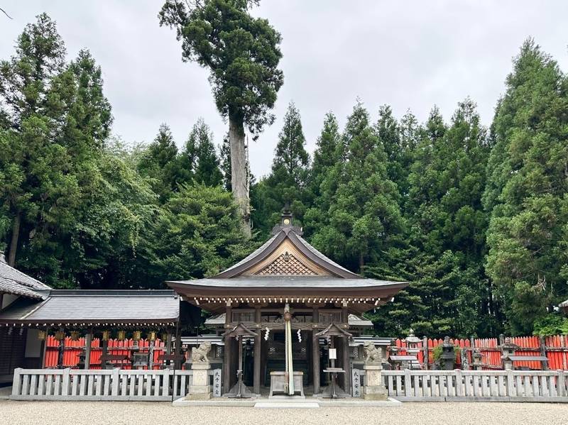 國津神社  (都祁白石町),奈良県奈良市都祁白石町580