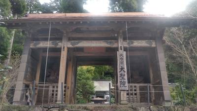常楽寺,見どころ,メカぽん