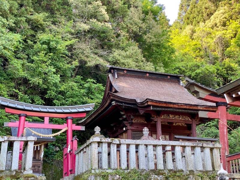 三輪神社 岐阜市三輪 岐阜市 岐阜県 Omairi おまいり