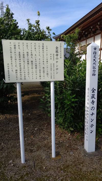 金蔵寺,見どころ,玉子豆腐