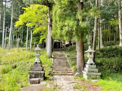 寺尾神社,見どころ,を神