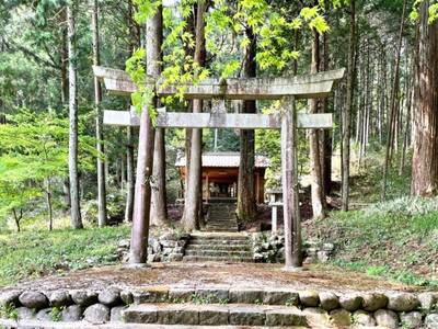 寺尾神社,見どころ,を神