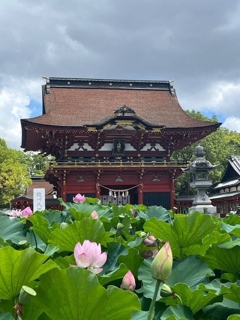 伊賀八幡宮,愛知県岡崎市伊賀町東郷中86
