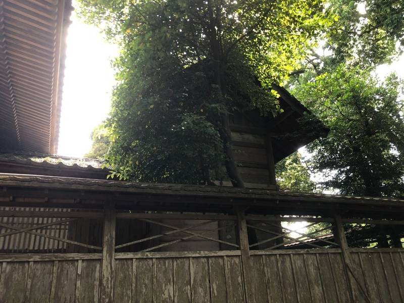 月読神社,茨城県つくば市樋の沢208