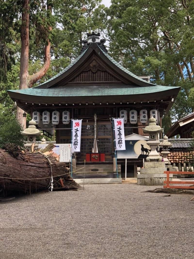 賀茂神社