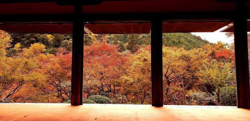 高山寺,京都府京都市右京区梅ケ畑栂尾町8