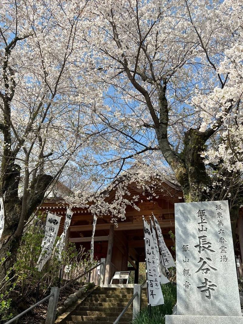 長谷寺 (飯山観音),神奈川県厚木市飯山5605