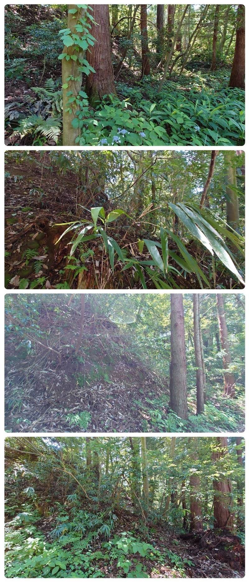 井波町招魂社,富山県南砺市松島