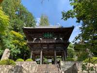 長野県の御朱印・神社・お寺 人気ランキング2025 (501位～525位)