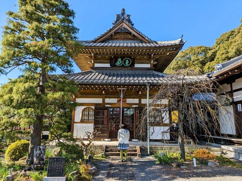 瑞雲院,静岡県静岡市清水区興津清見寺町420