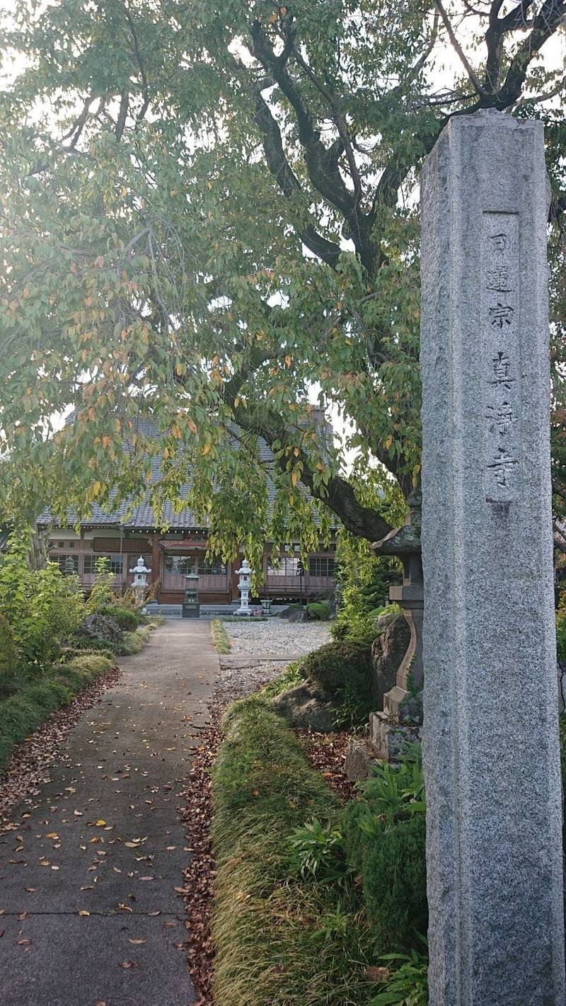 真浄寺,山梨県南巨摩郡富士川町天神中條441