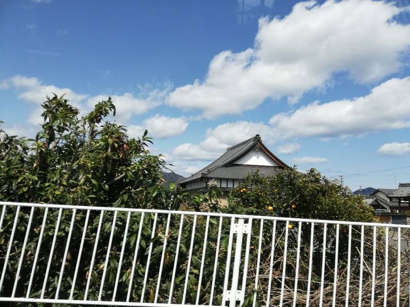 光専寺,岐阜県揖斐郡大野町黒野683