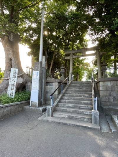 篠原八幡神社 横浜市 神奈川県 Omairi おまいり