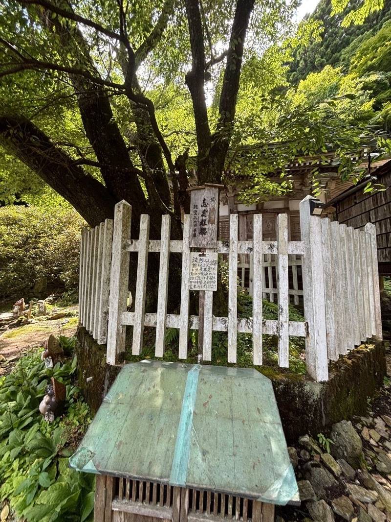 月輪寺,京都府京都市右京区嵯峨清滝月ノ輪町7