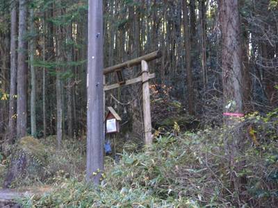 高森神社,見どころ,