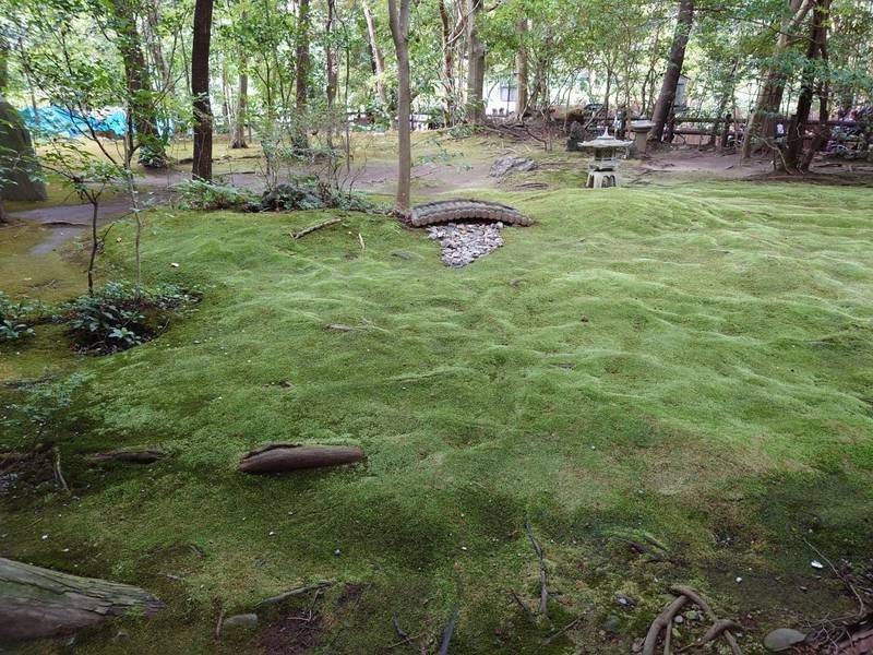 野宮神社,京都府京都市右京区嵯峨野々宮町1