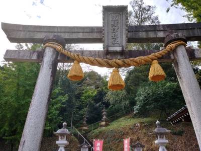 瀬織津姫神社,見どころ,とるど