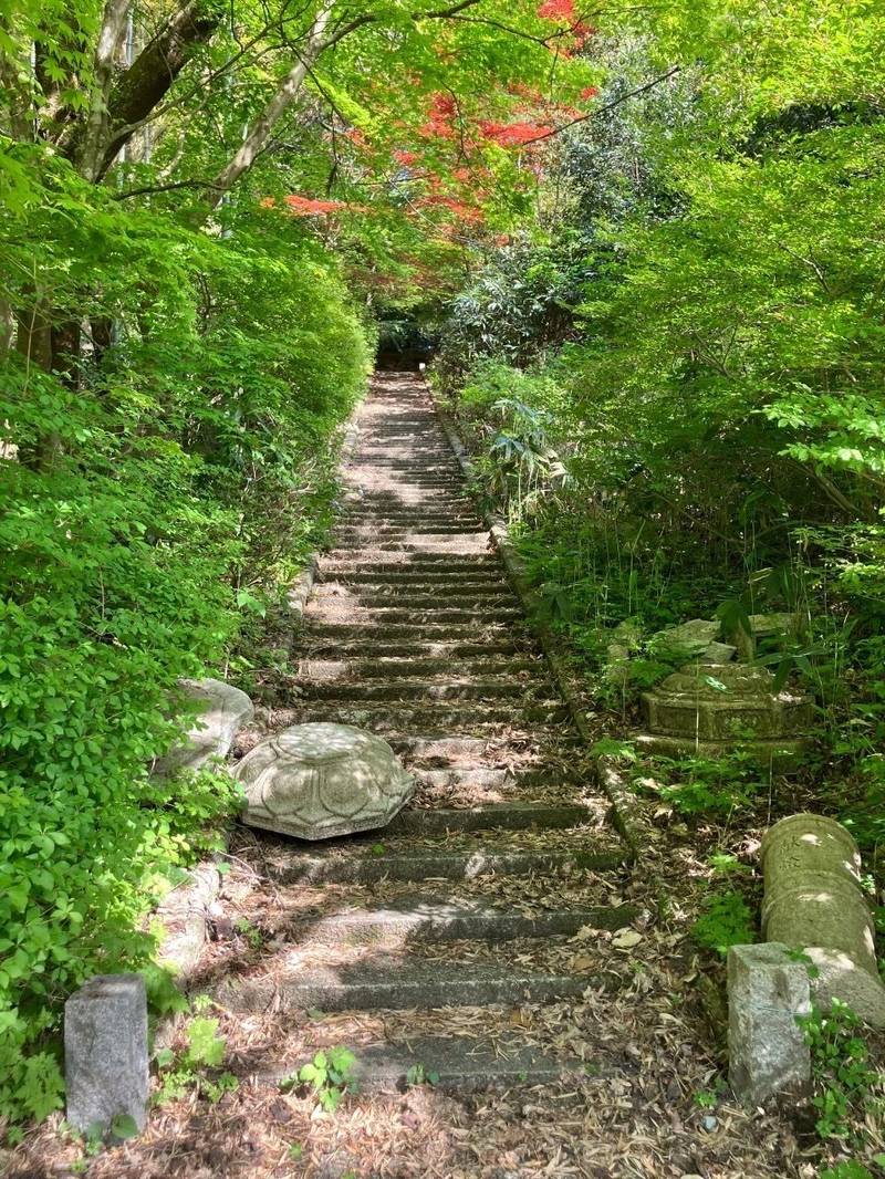 弘源寺,富山県氷見市小竹853