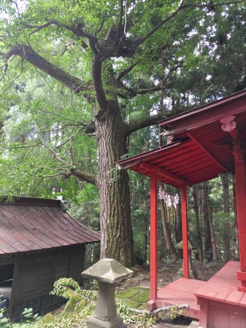 八幡神社  (上真山),宮城県大崎市岩出山上真山八幡92