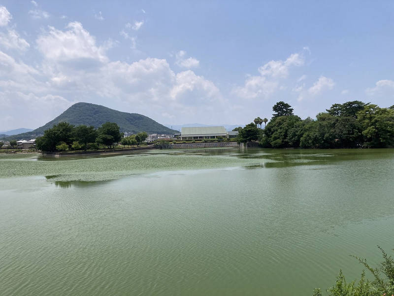 榺神社,香川県高松市仏生山町甲2566