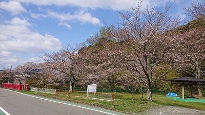 水取宮跡,見どころ,FKHina