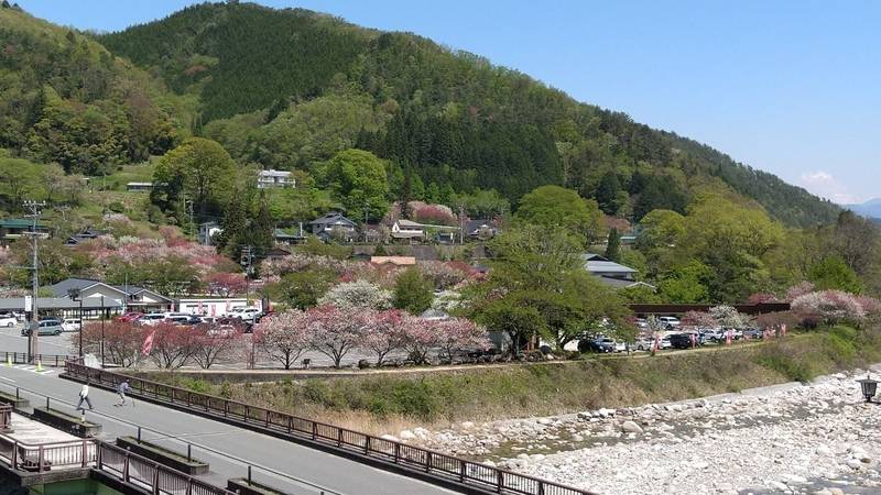 阿智神社  (前宮),長野県下伊那郡阿智村智里489
