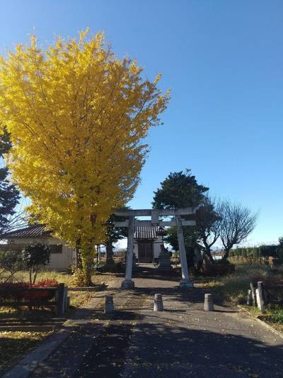 剱神社,見どころ,zx14