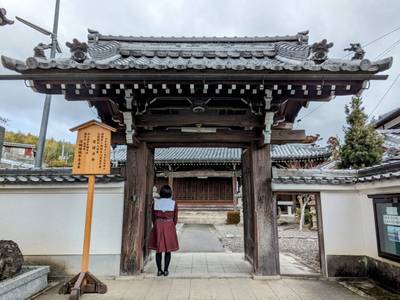光浄寺,見どころ,平沢凛