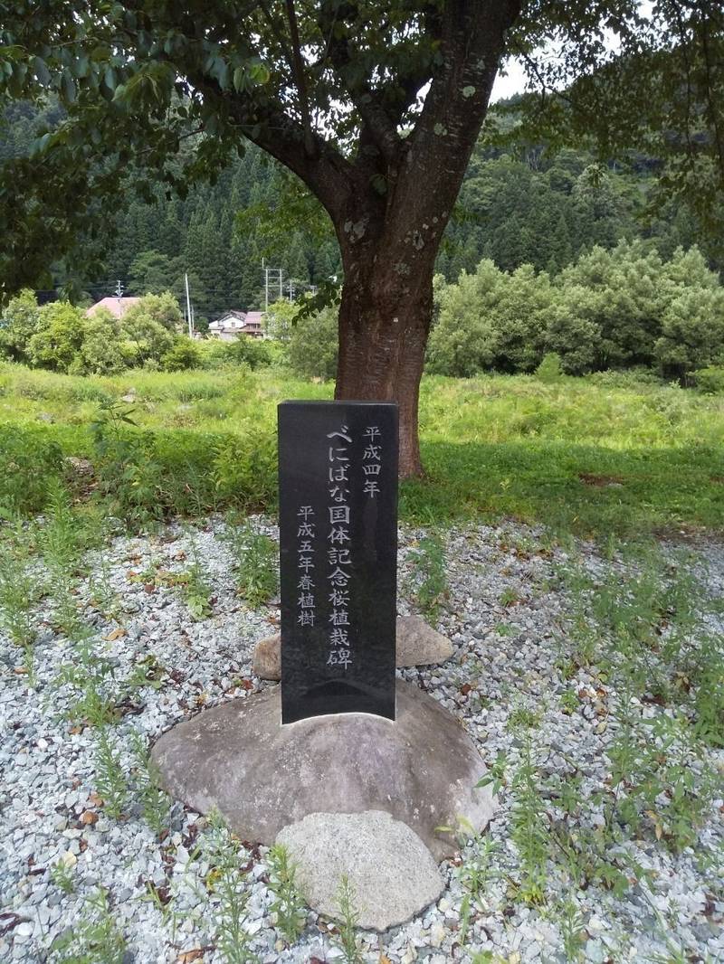 月岡稲荷神社,山形県西村山郡西川町月岡宮下545-2