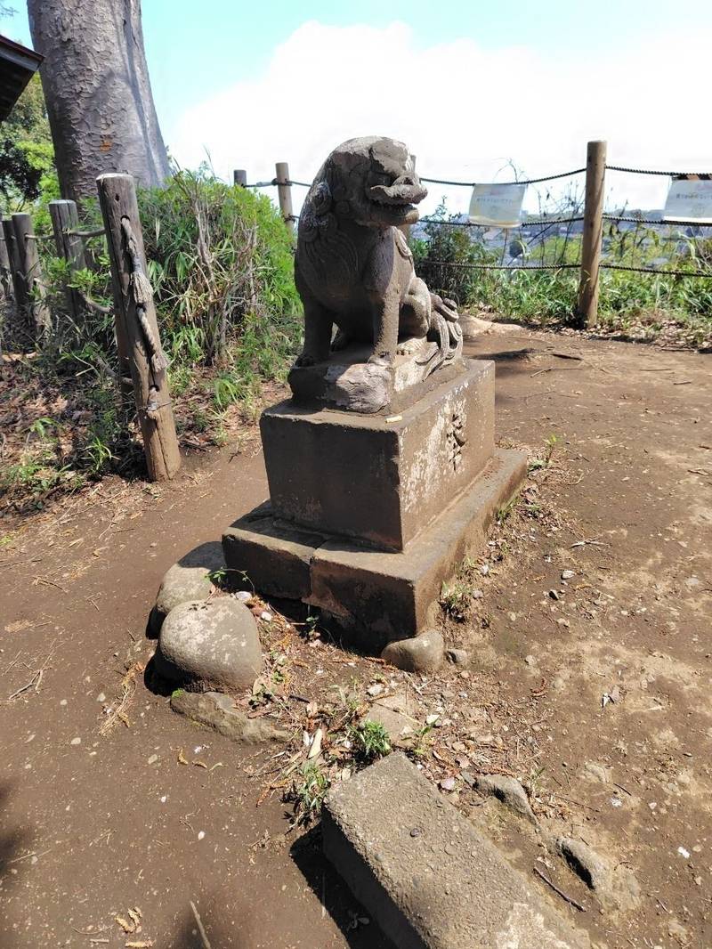 城山神社,埼玉県所沢市城537
