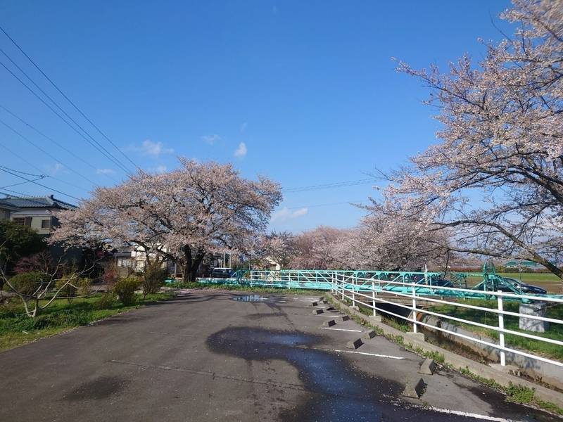 川内神社,新潟県新発田市真野原1237-5