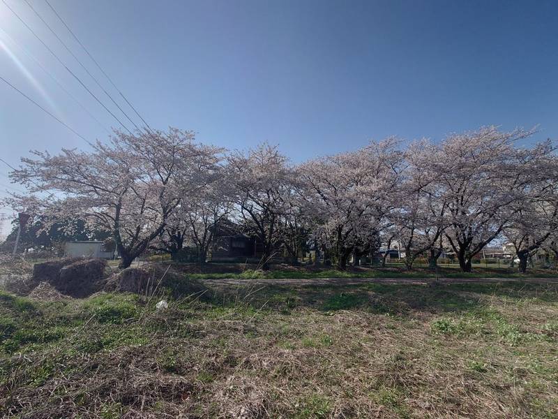 川内神社,新潟県新発田市真野原1237-5