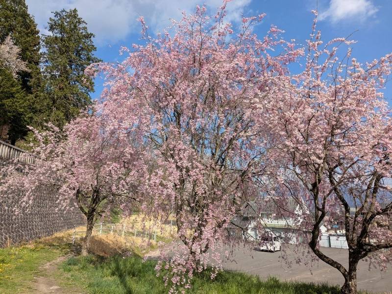 郊戸八幡宮,長野県飯田市今宮町４丁目６２０７