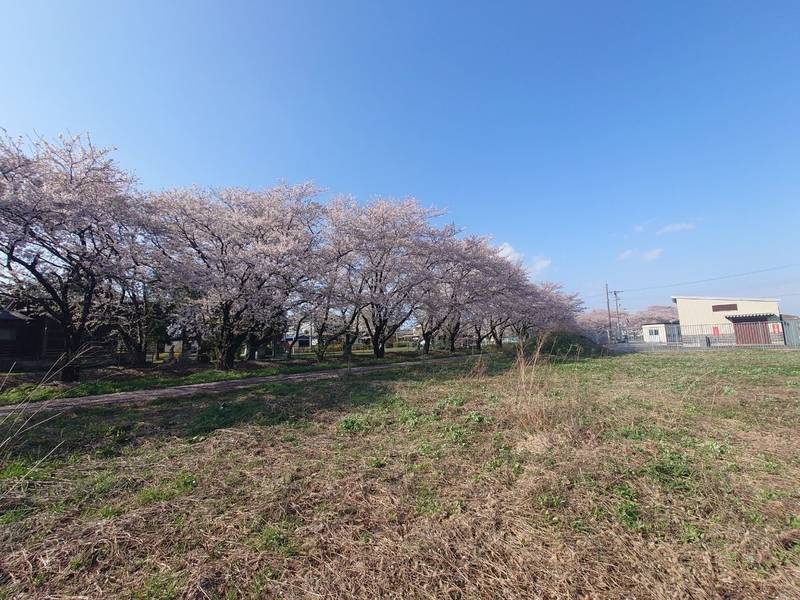 川内神社,新潟県新発田市真野原1237-5